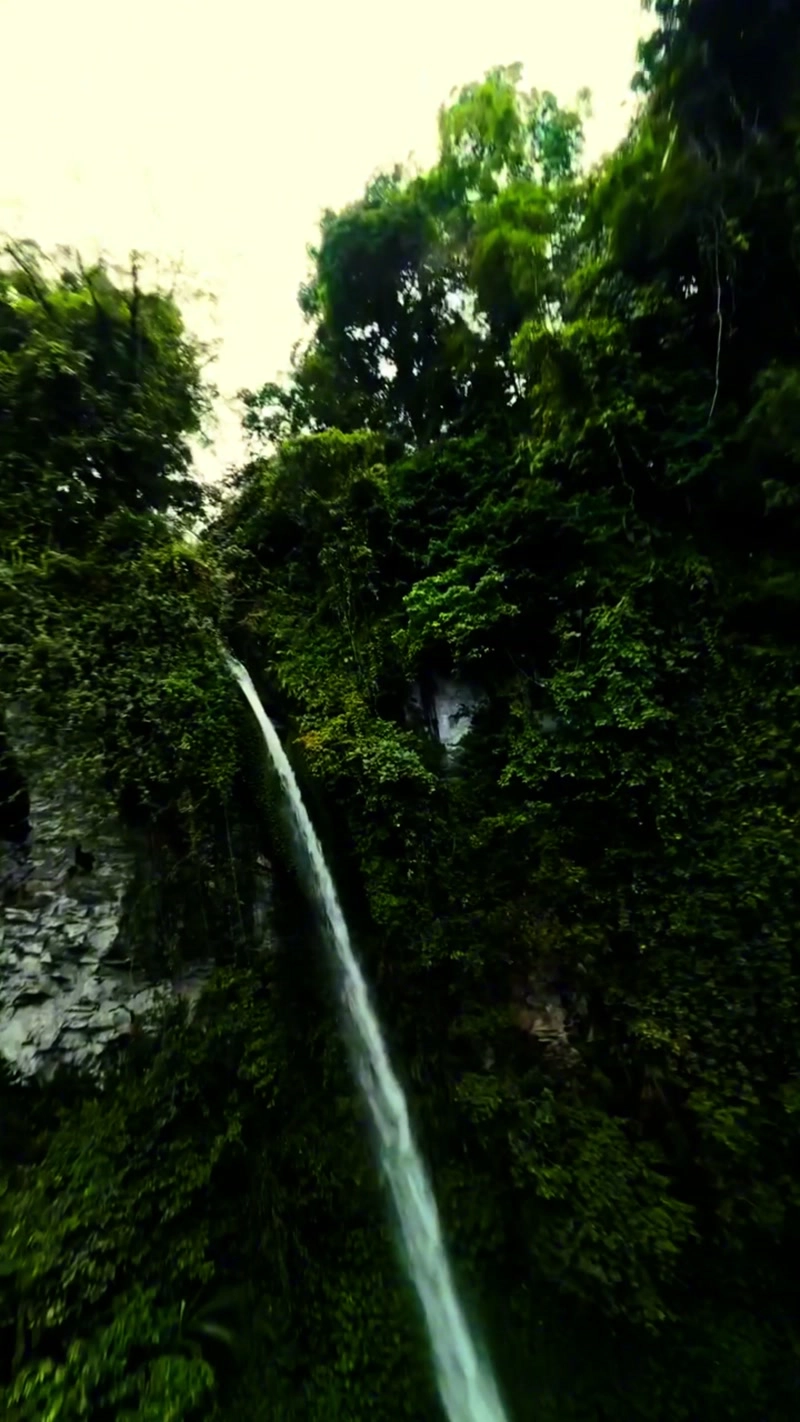 Darting through rainforests to white waterfalls